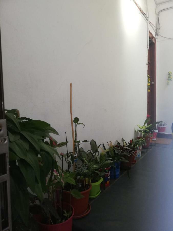 Beatu's Art Sweet Homestay *